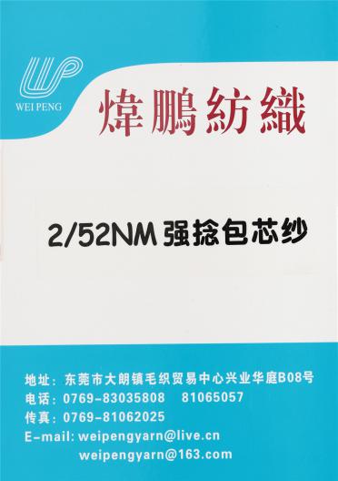2/52NM強(qiáng)捻包芯紗