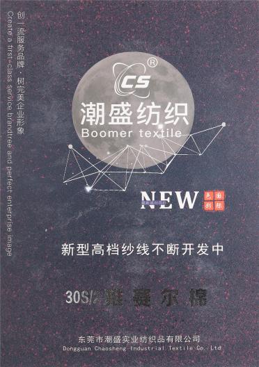 2/30S 雅賽爾棉
