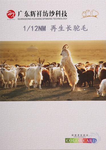 1/12NM再生長(zhǎng)駝毛
