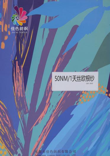 1/50NM天絲歐根紗