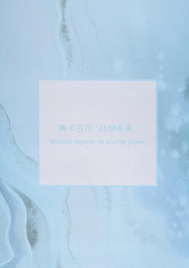 2.3支羊駝圈圈紗