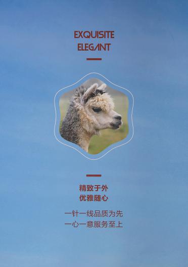 1/6NM羊駝噴毛紗
