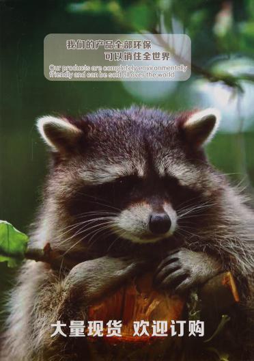 24/2浣熊絨