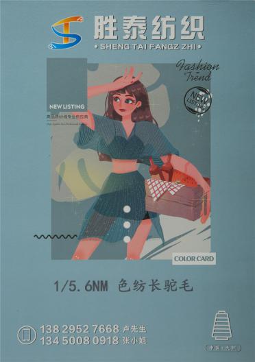 1/5.6NM 色紡長(zhǎng)駝毛