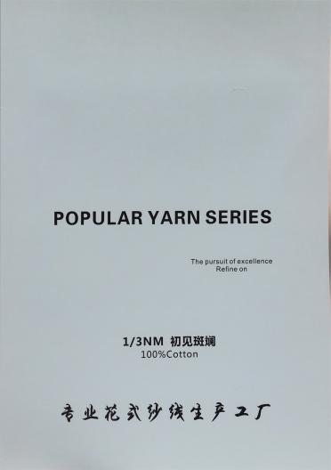 1/3NM初見斑斕