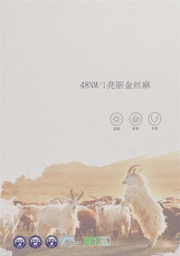 48NM/1亮麗金絲麻