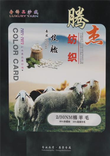 2/30NM 棉羊毛