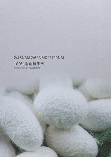 2/48NM& 2/60NM& 2/120NM 100%桑蠶絲系列