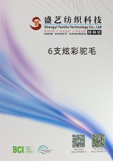 6支炫彩駝毛