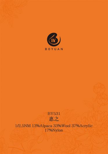 1/2.5NM BY531 惠之