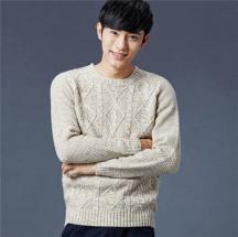 新品男裝時(shí)尚圓領(lǐng)長(zhǎng)袖毛衣