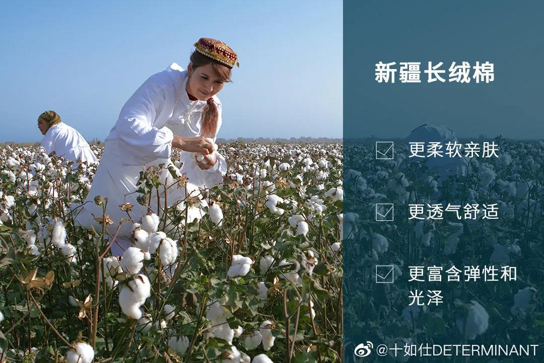 http://m.dldltg.com/upload/202103270952412313.jpg