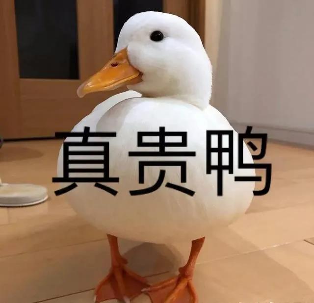 http://m.dldltg.com/upload/202109130941955490.jpg