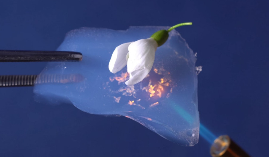 http://m.dldltg.com/upload/202203081022039891.png