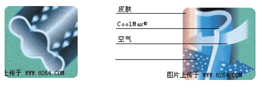http://m.dldltg.com/upload/202205240953262679.png