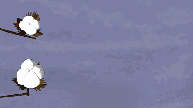 http://m.dldltg.com/upload/202210141006020715.gif