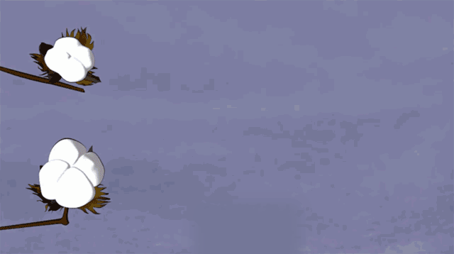 http://m.dldltg.com/upload/202210141006460698.gif