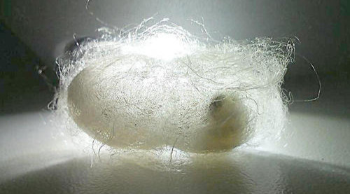 http://m.dldltg.com/upload/202211091005241759.png