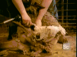 http://m.dldltg.com/upload/202212101131103239.gif